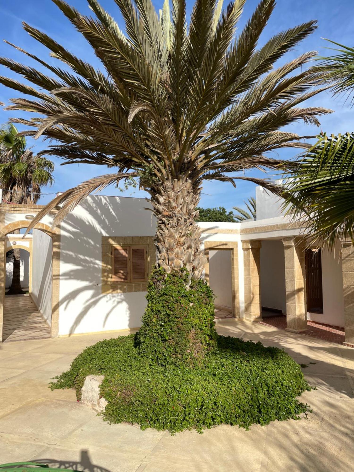 Hotel Villa Soleil Sidi Kaouki Exterior photo